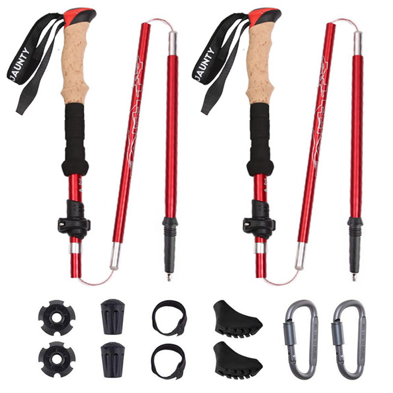Partes trekking polos