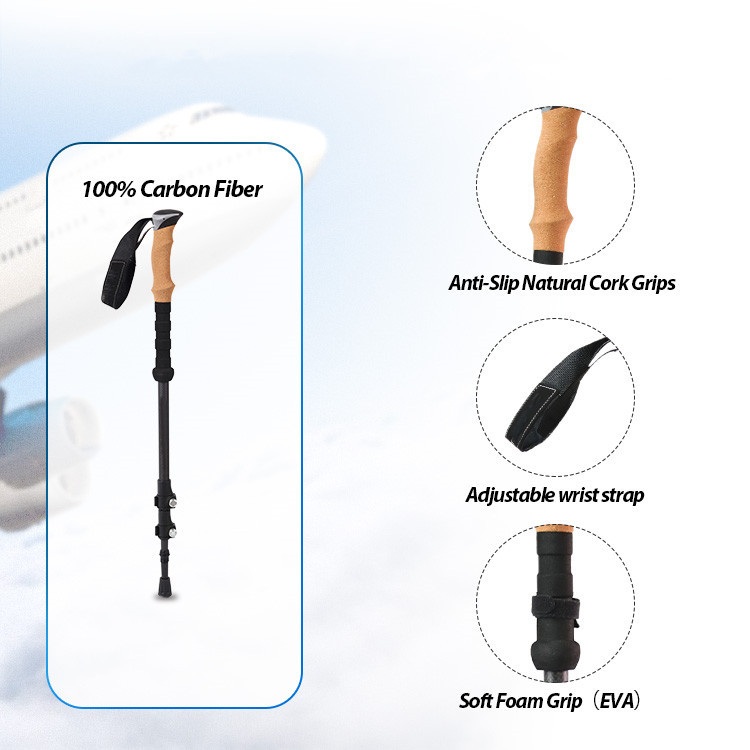 Et densis systema trekking polus